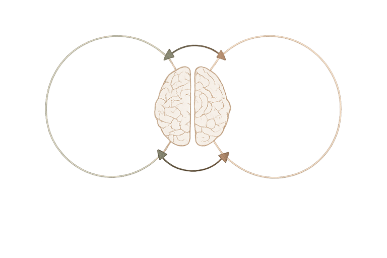 Illustratration qui représente le fonctionnement du cerveau
