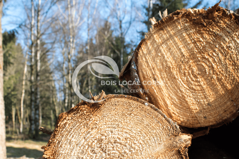 deux rondins de bois