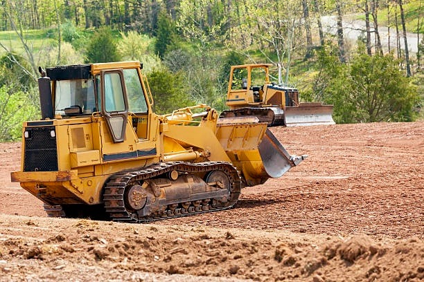 Louisiana land clearing and site preparation service – clearing trees and overgrowth.