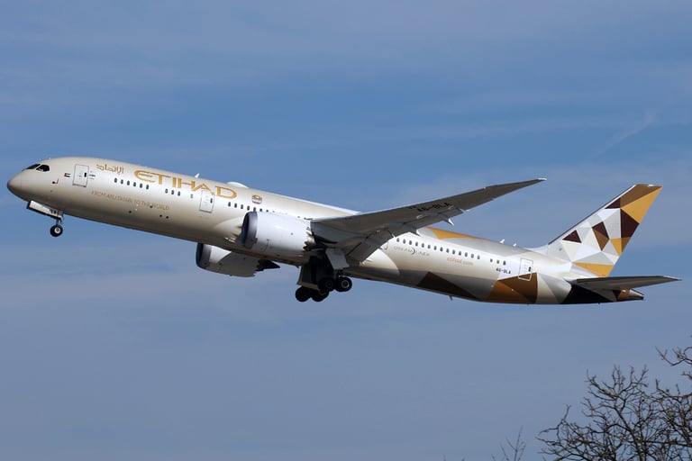 boeing 787 in decollo