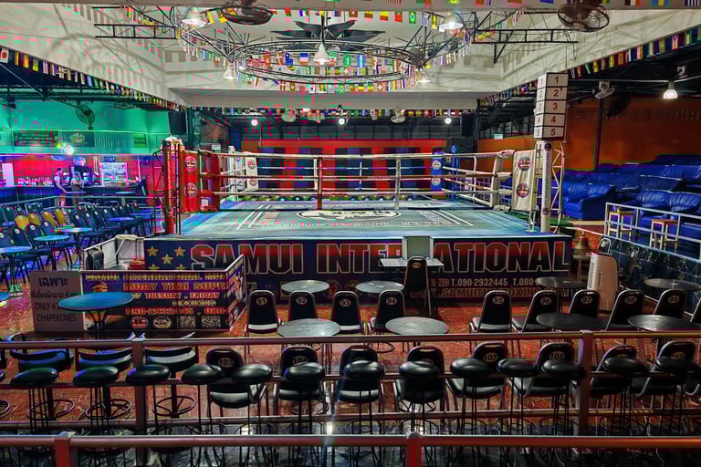 Ringside Seat, xperience the action up close with chair seats just inches from the ring.