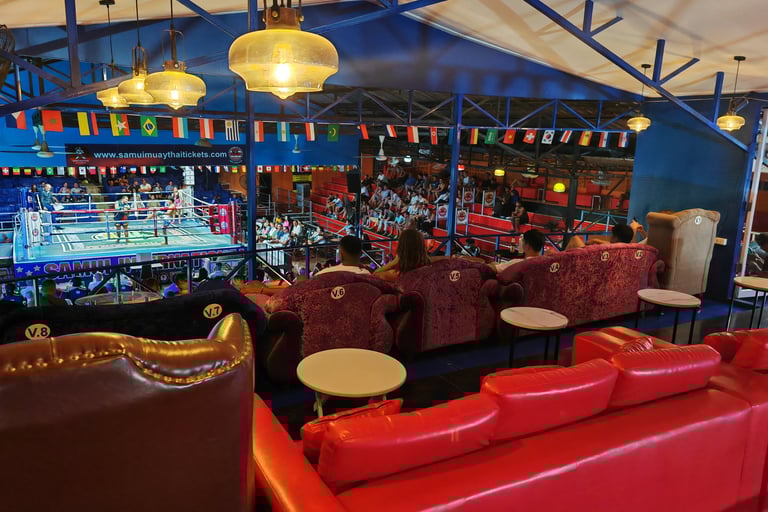 VIP premium , Enjoy luxury leather sofas with exclusive privacy and the best top views of the event