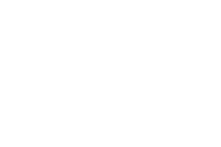Typecast Alfin brakedrums - TC Logo