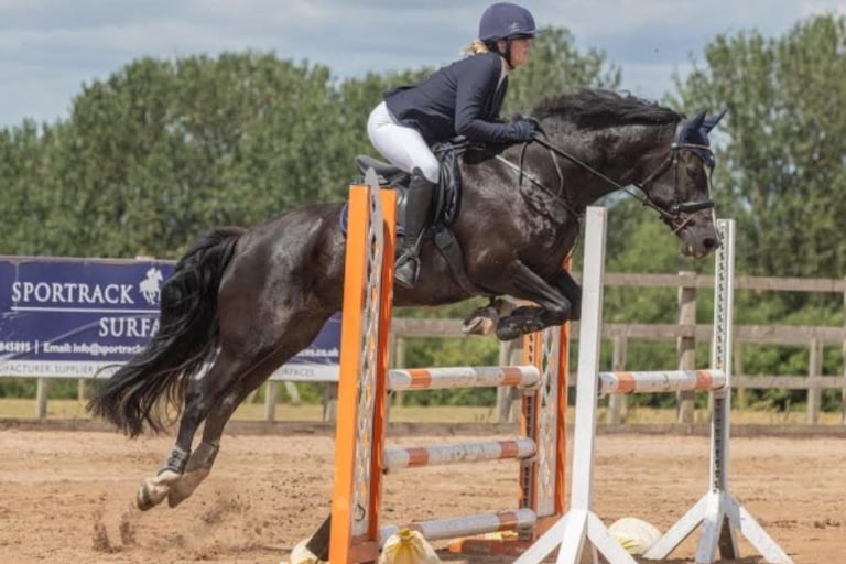 a person riding a horse over jumps