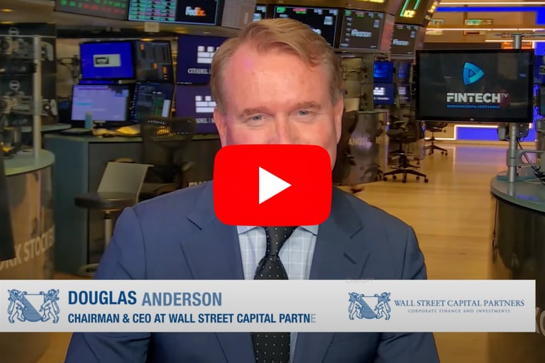 Douglas Anderson speaks about MetaTerra