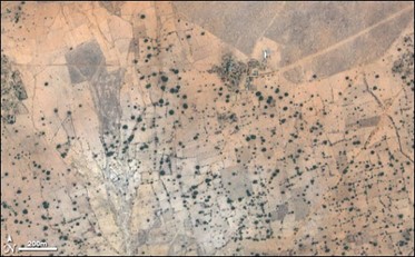 NASA Earth Observatory, showing desertification in Mali.