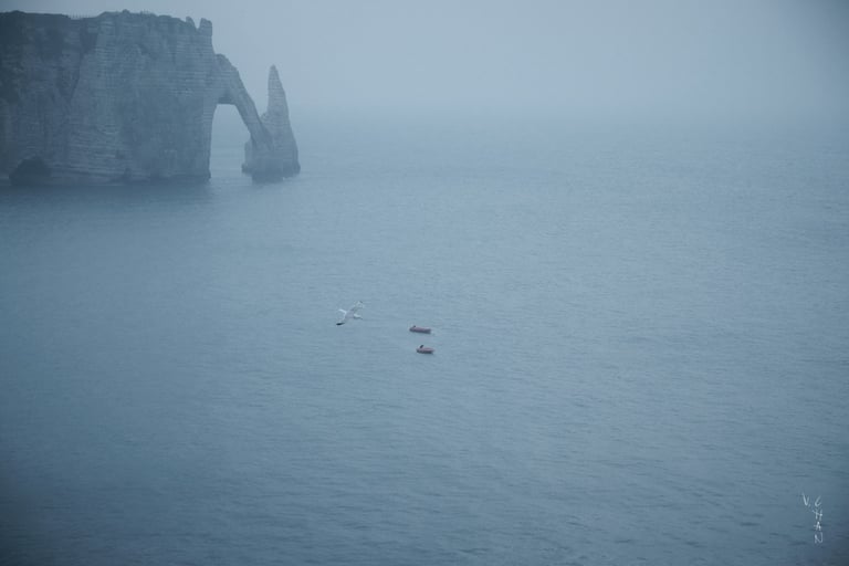a group of birds flying over a body of water