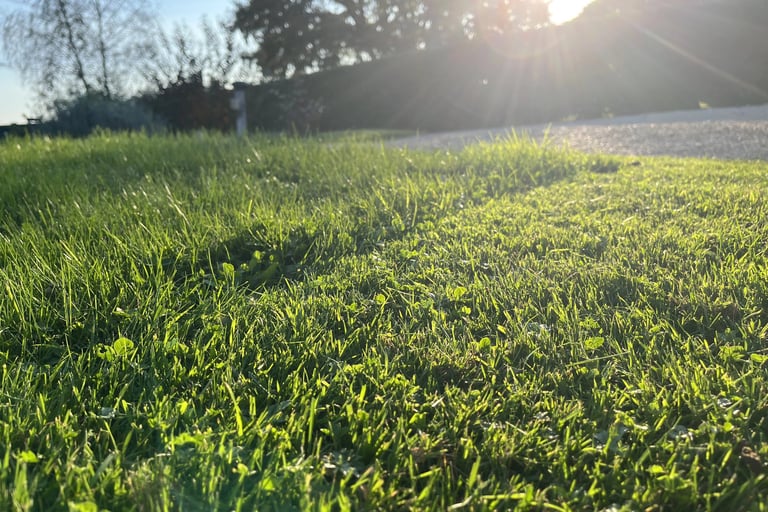 jardin paysager cluny 71