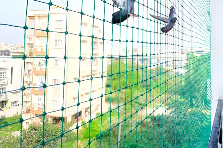 Pigeon Nets in bengaluru