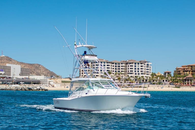 yate-pesca-cabo-express-31-los-cabos