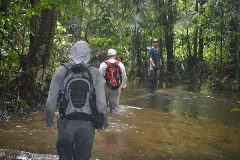 tres homens caminhando dentro de um riacho com floresta em volta