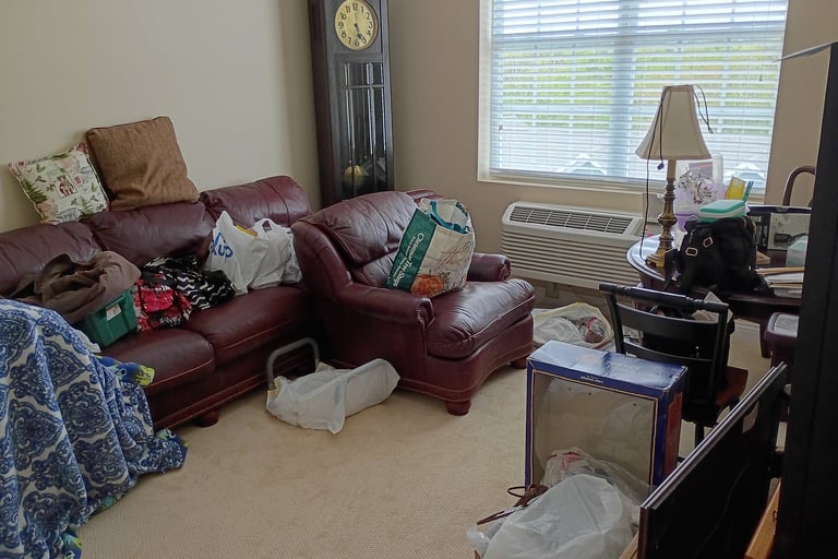 RevampT Spaces Organized Den Before -Tina Wilmhoff -RevampT Spaces Organizing Services