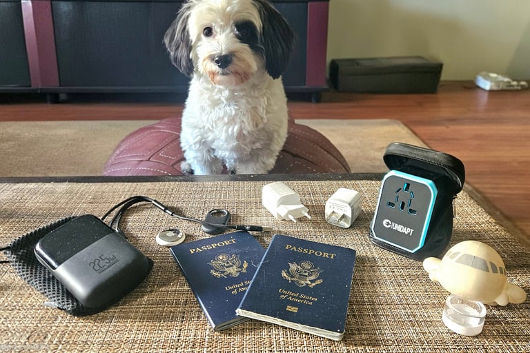 Travel tech items on table with passports and toy airplane, travel dog inspecting gear