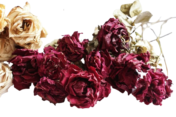 Flower preserving resin 