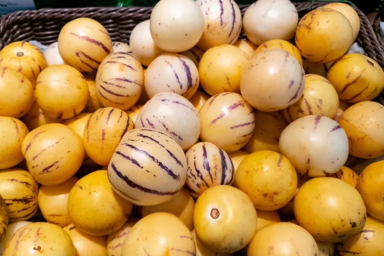 Solanum Muricatum Ripening Room