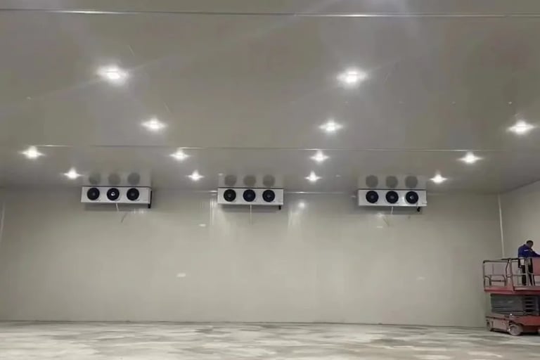 Industrial cold room for food storage and logistics