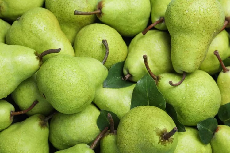 Pears Ripening Room