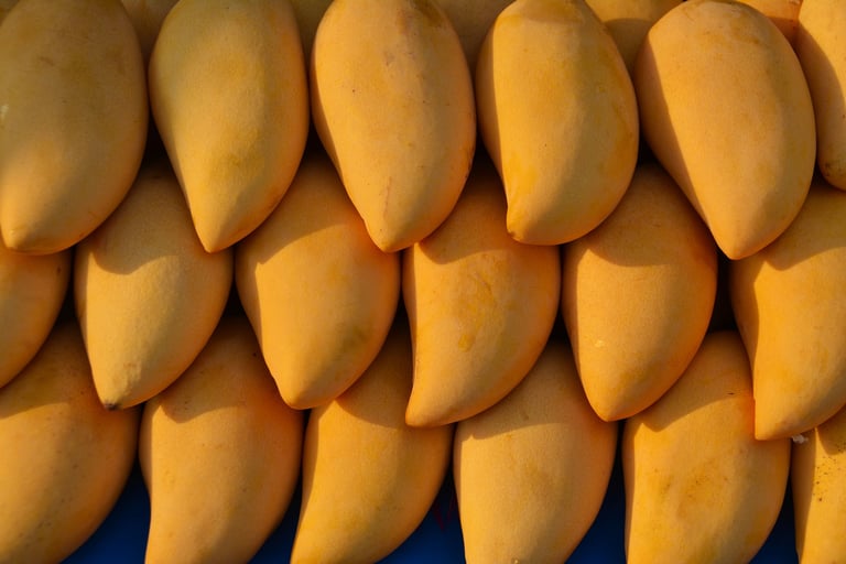 mango ripening room