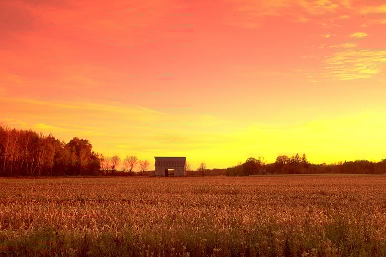 a field with a barn in the background at sunset