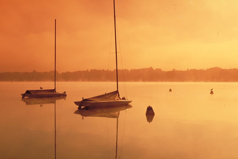 a boat in the water with a bird on the water