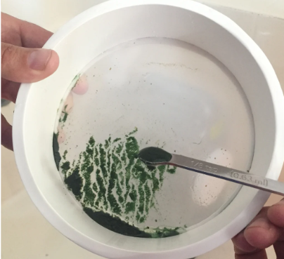 spirulina harvesting screen