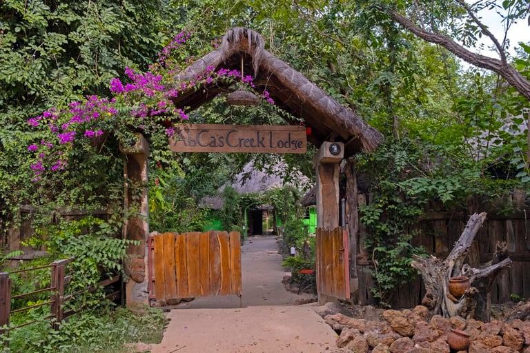 A serene image of Abca's Creek Lodge, located on the edge of a picturesque creek surrounded by mangr