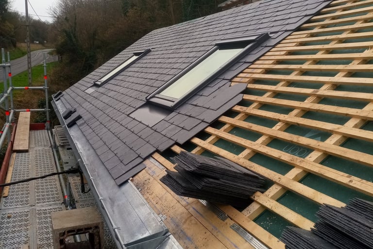 Couverture ardoises et Velux