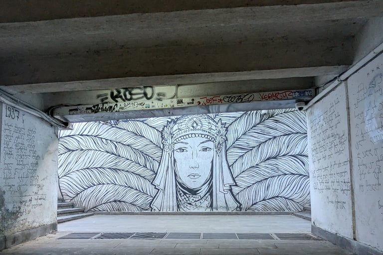 street art at Baratashbili Bridge Underpass in Tbilisi Georgia 