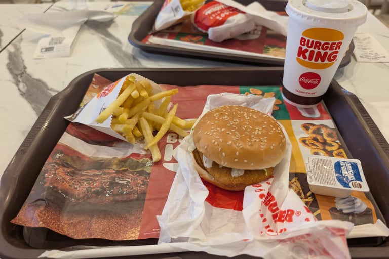 a cheese burger with frys ans a drink from Burger King in the Diamond Mall in Skopje North Macedonia