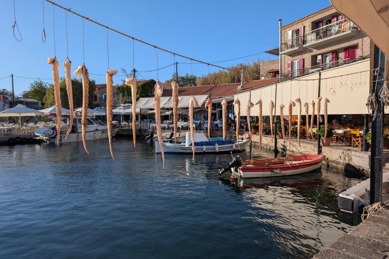 octopus tentacles drying in the sun at The Octopus Restaurant in Mithymna, Greece