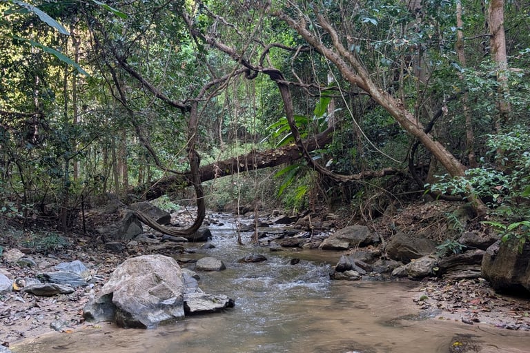 a jungle river in Huai Nam Dang National Park, Thailand