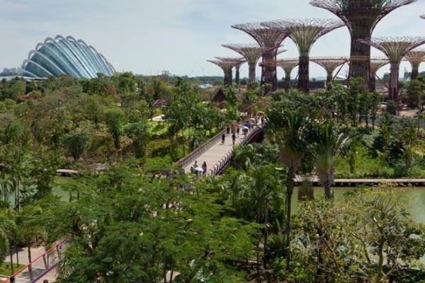 "Green City" Project in Singapore