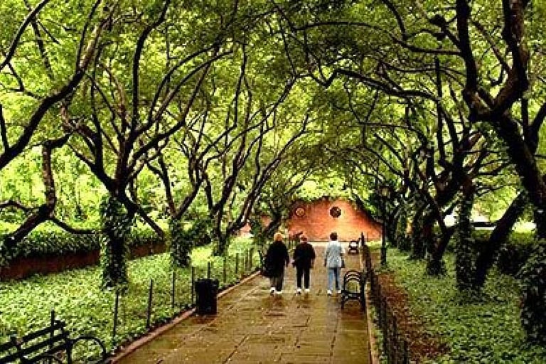 Secret Garden Museum