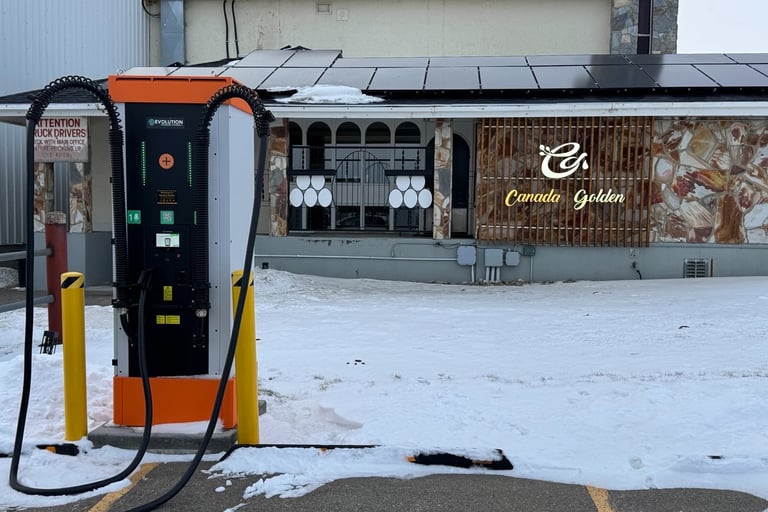 Unable to start this fast charger