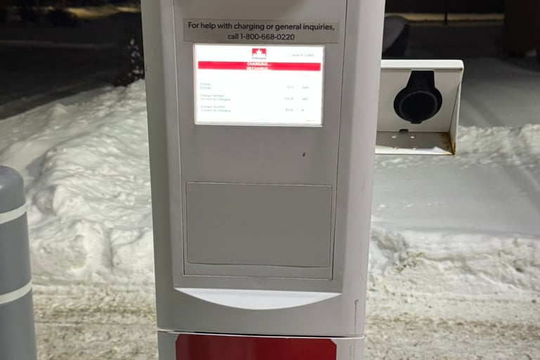 Savior - working Level 2