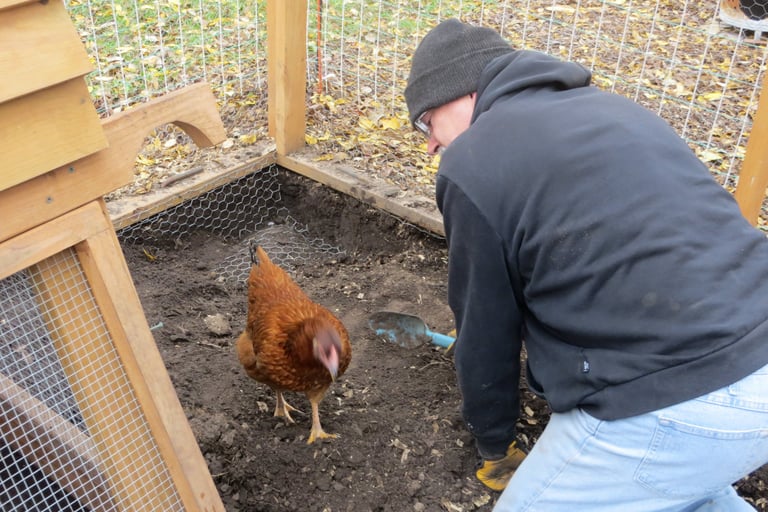 Rat proofing the chicken coop