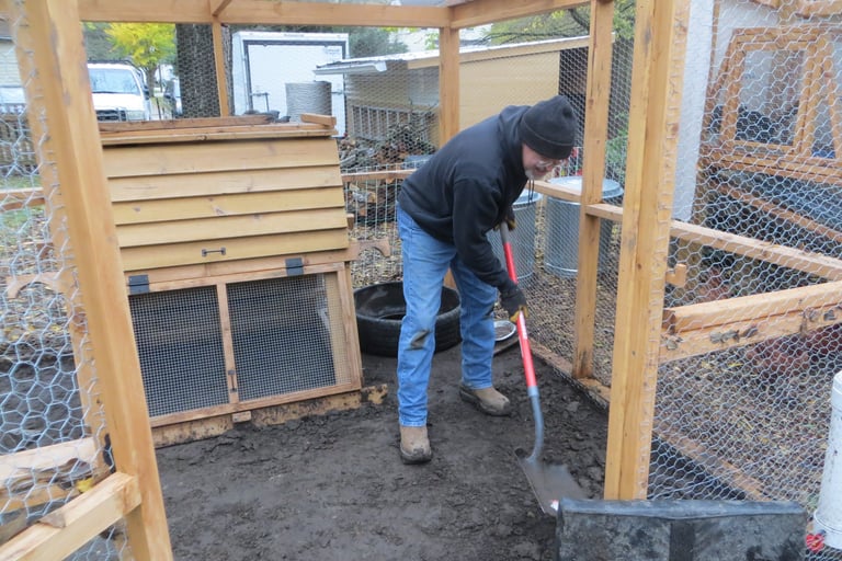 Rat proofing the chicken coop