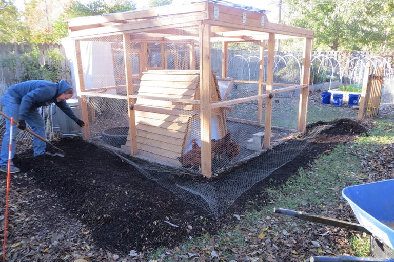 Rat proofing the chicken coop