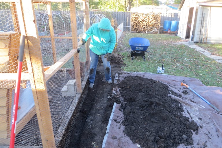 Rat proofing the chicken coop
