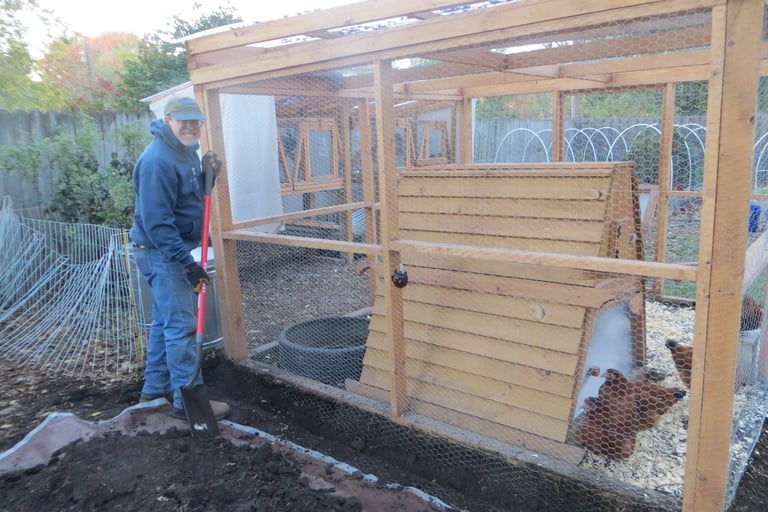 Rat proofing the chicken coop