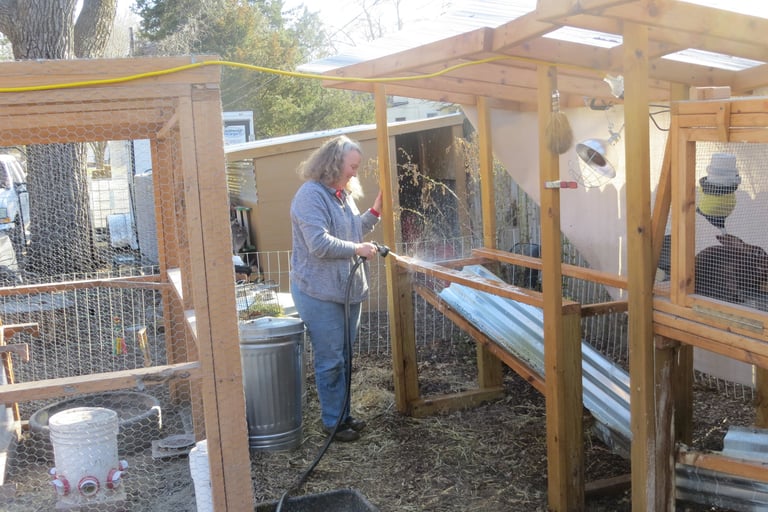 Cleaning cages.