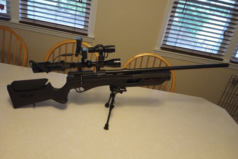 Pellet gun with night scope