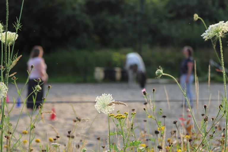 twee vrouwen in de paardenweide met een paard en pionen