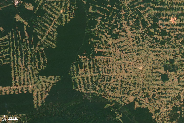 Satellite image taken in 2012 of the Amazon rainforest in the state of Rondônia in Brazil