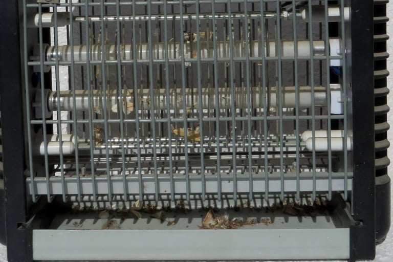 a bug zapper with dead insects electrocuted