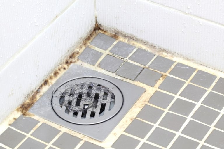 hairs accumulated on drain cover