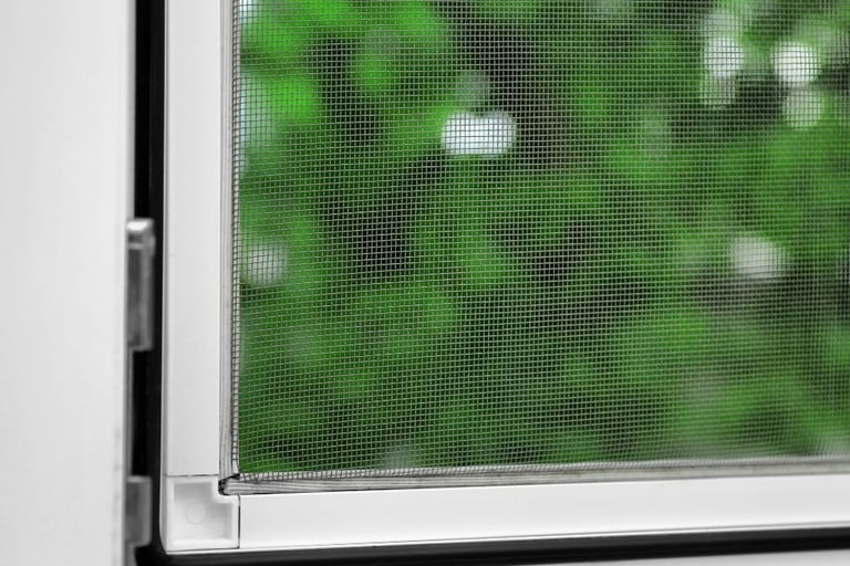 a mesh screen mounted on window