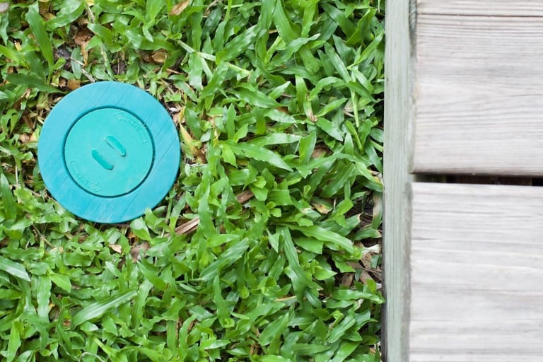 an in-ground termite bait station