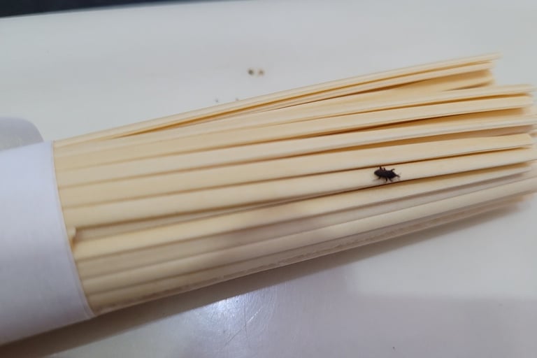 rice weevil can also infest noodles