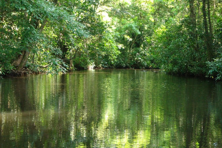 cosa vedere a Tortuguero - fiume navigabile